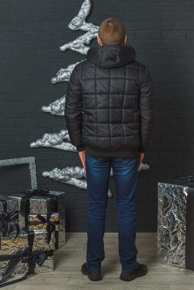 Стеганная зимняя мужская куртка 141/9 в интернет-магазине